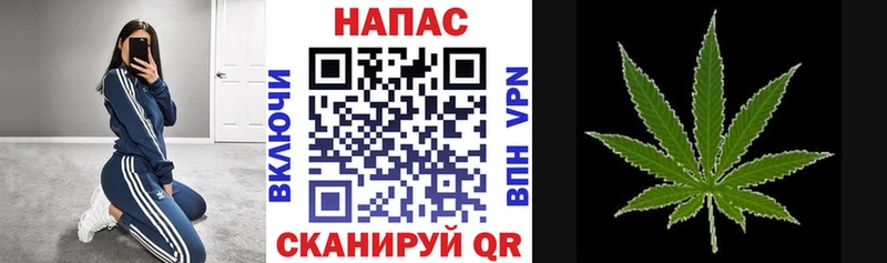 ГАШИШ Звенигово