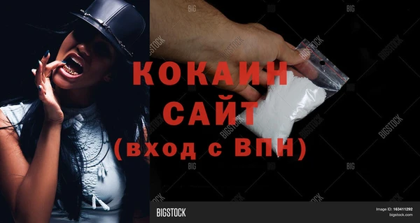 соль ск Сосновка