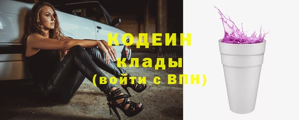 соль ск Сосновка