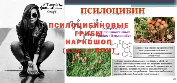 apvp Строитель