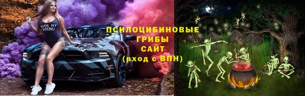 apvp Строитель